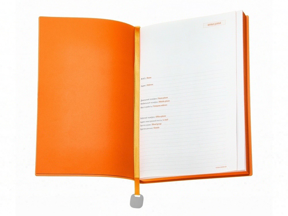 Ежедневник недатированный А5 Mercury