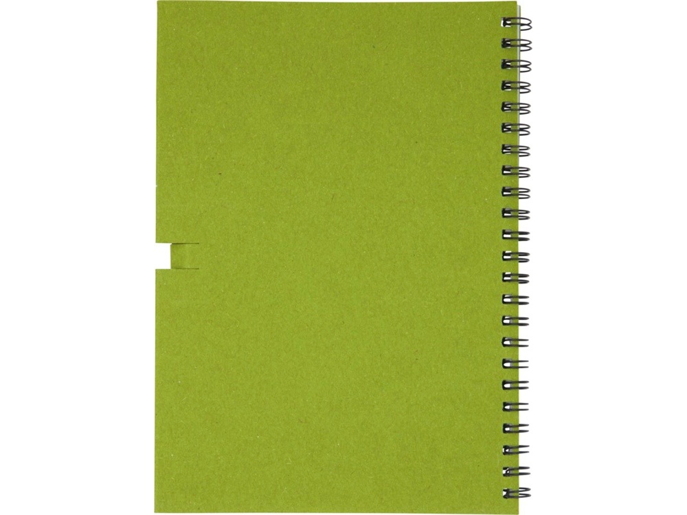 Блокнот A6 Luciano Eco с карандашом