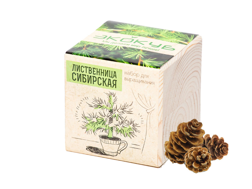 Набор для выращивания Базилик