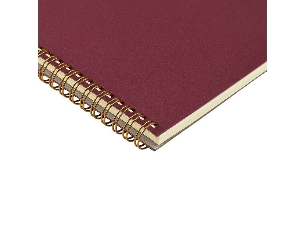 Бизнес тетрадь А5 Pragmatic