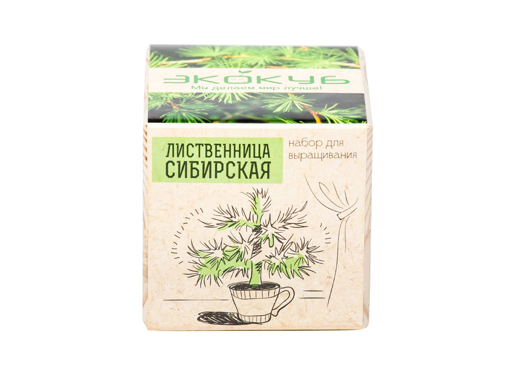 Набор для выращивания Базилик