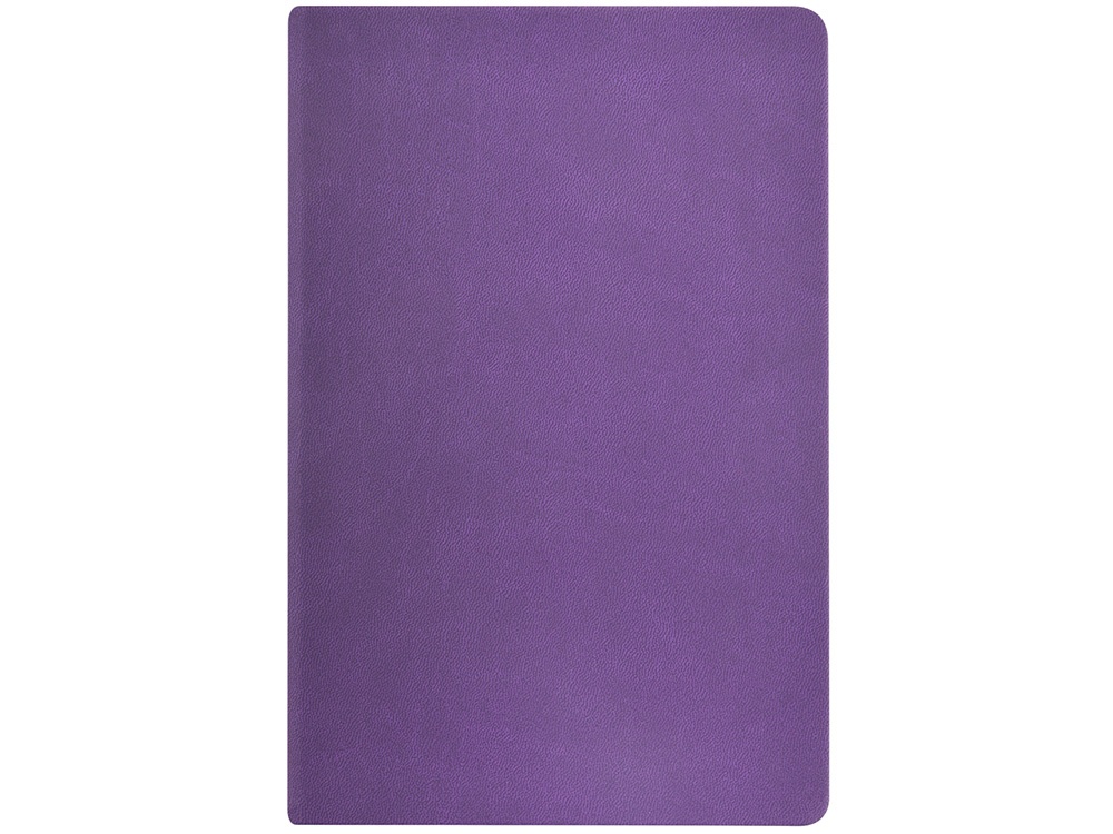 Ежедневник недатированный А6 Megapolis Color