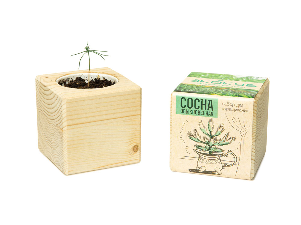 Набор для выращивания Базилик