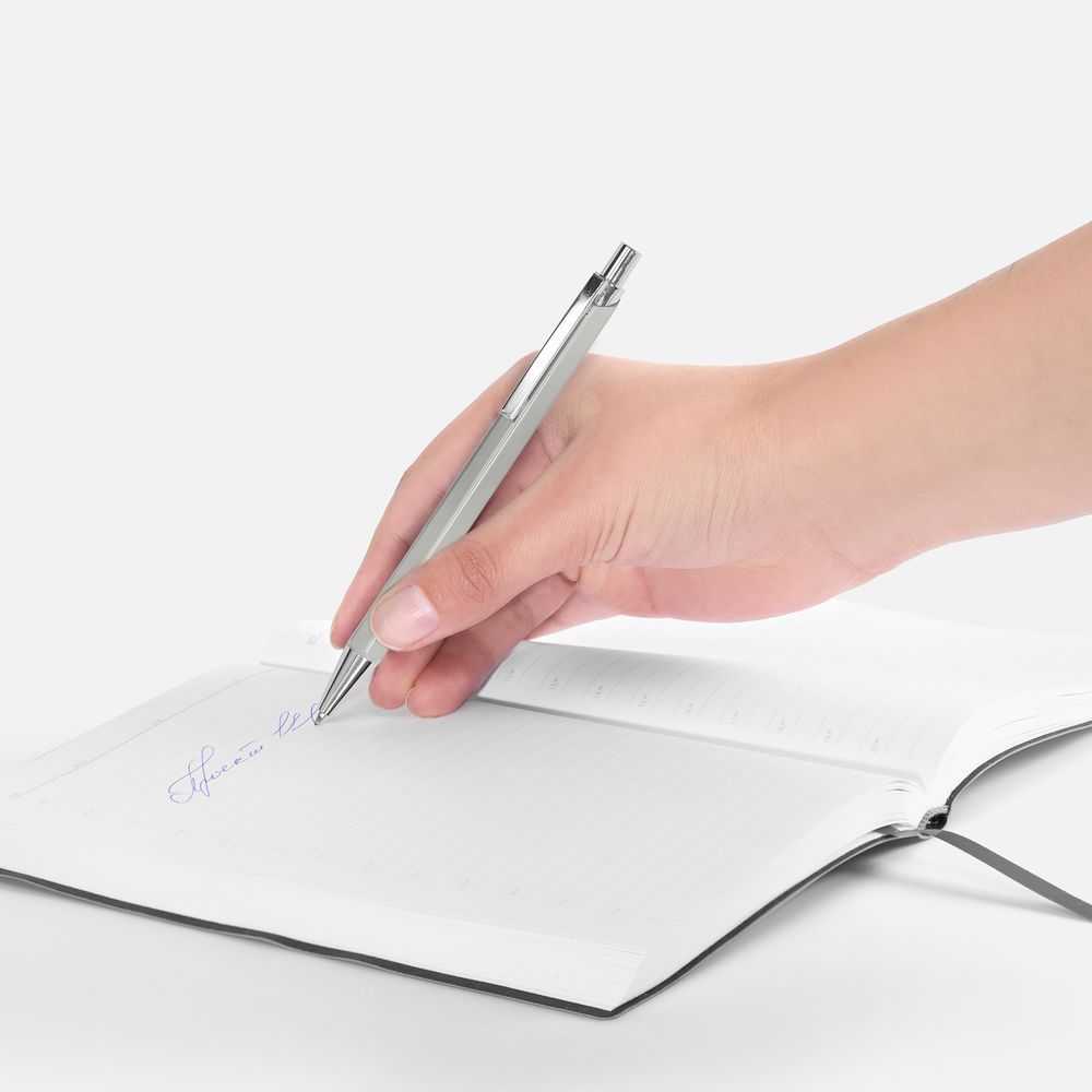 Ручка шариковая Alumno