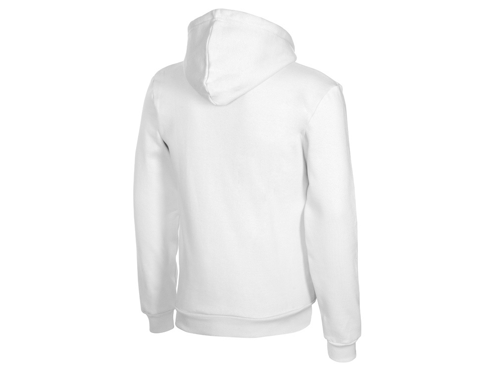 Толстовка с капюшоном Amsterdam мужская