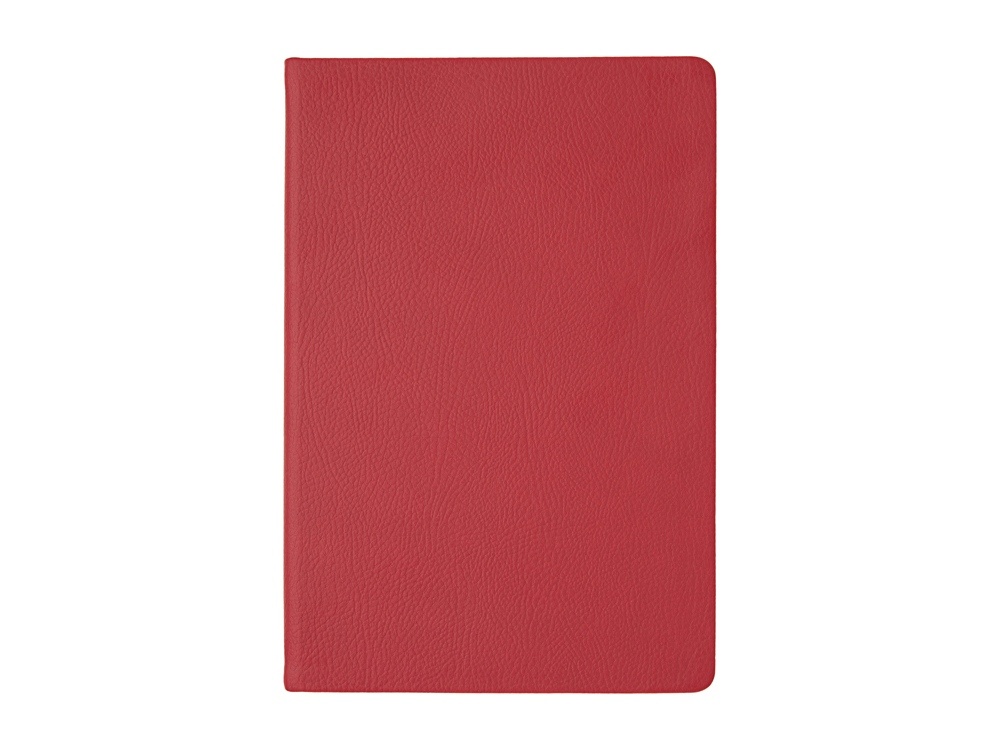 Ежедневник недатированный А5 Megapolis Nappa