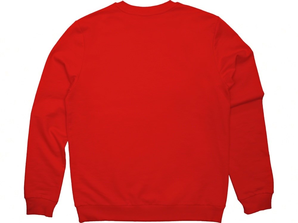 Свитшот Motion с начесом, унисекс