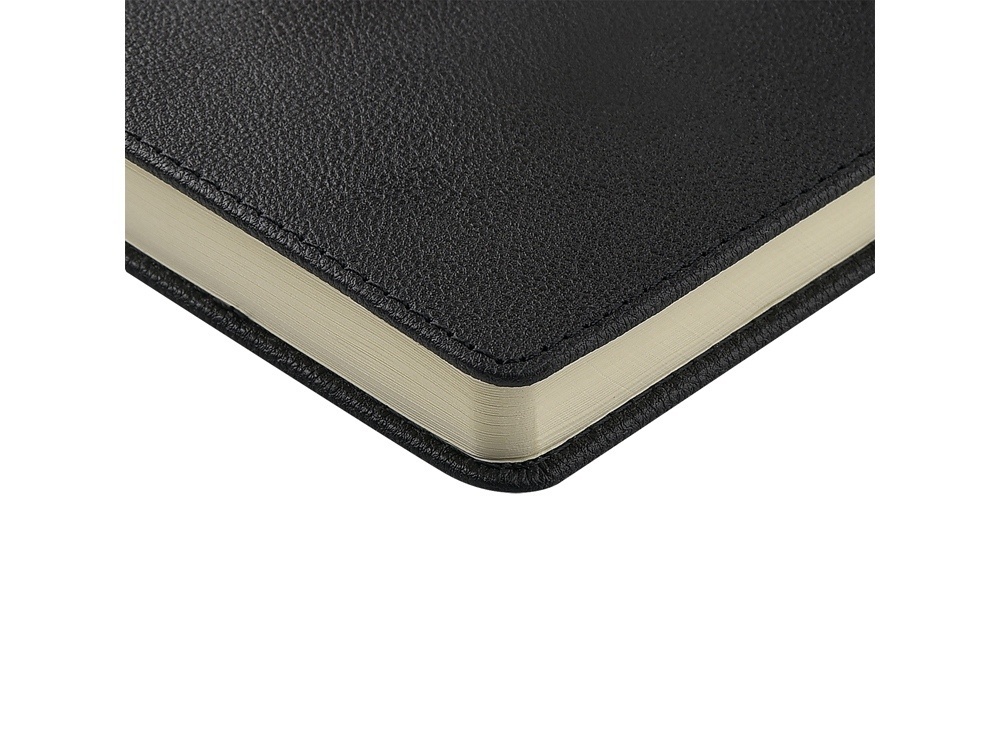 Ежедневник недатированный А5 Lyon