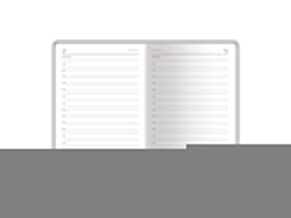 Ежедневник недатированный А6 Magnum