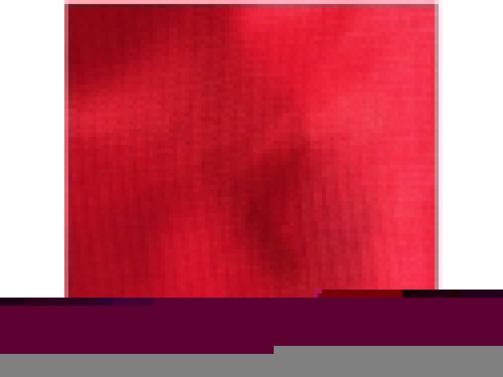 Куртка Labrador мужская