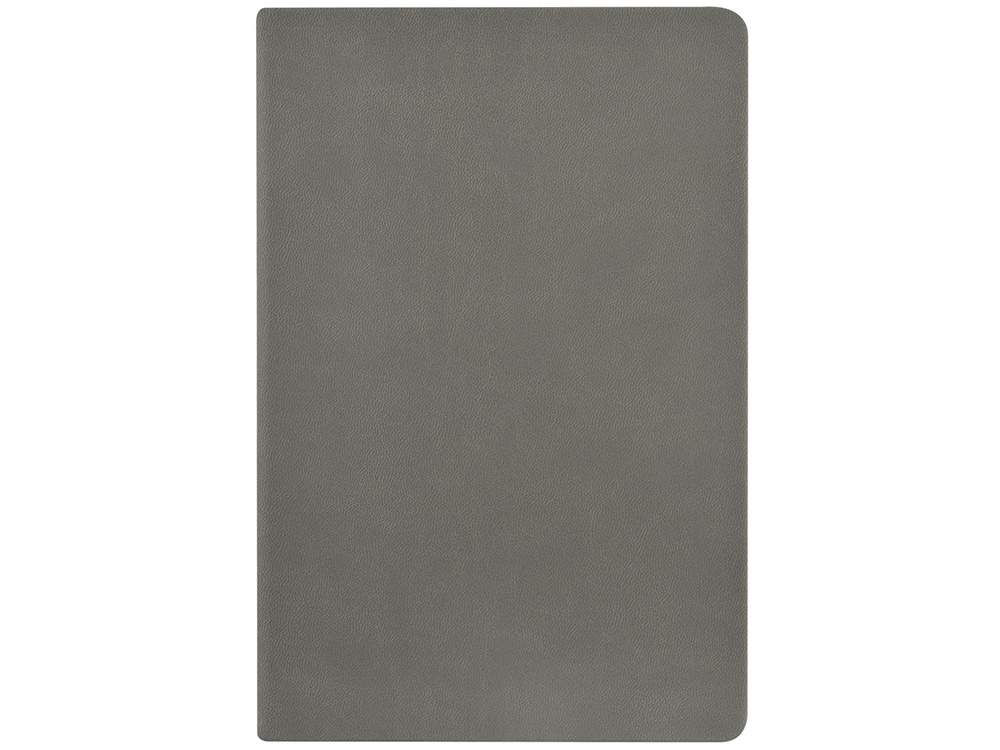 Ежедневник недатированный А6 Megapolis Color