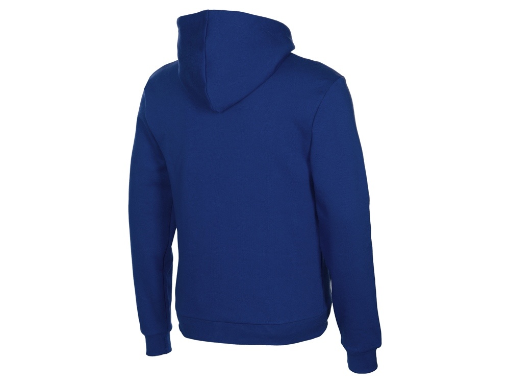 Толстовка с капюшоном Amsterdam мужская