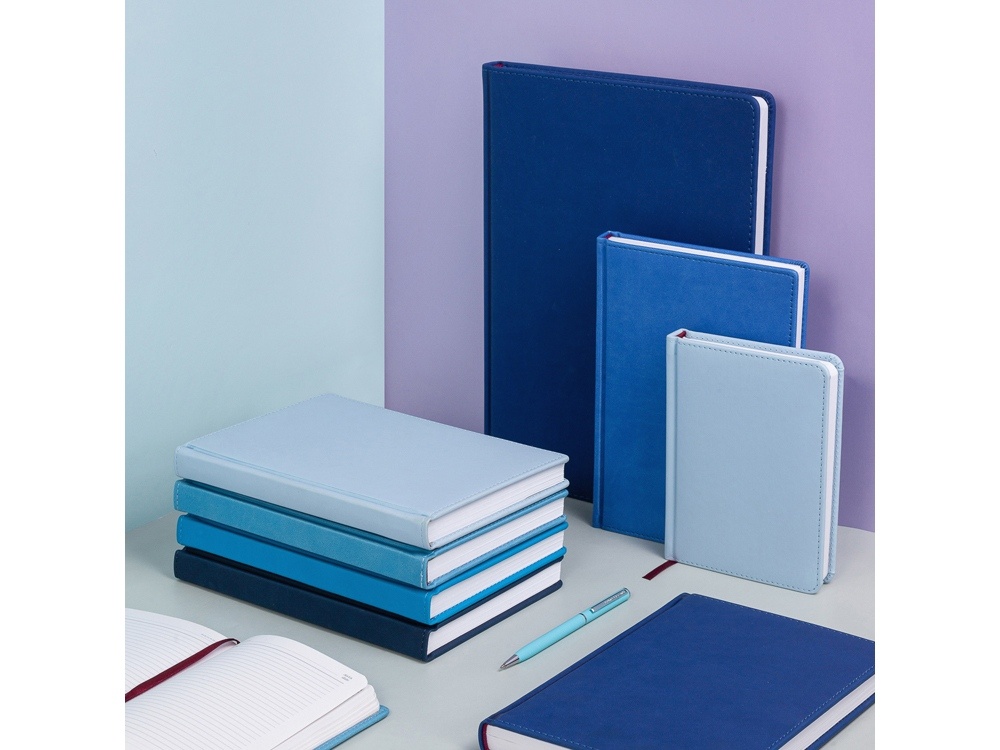 Ежедневник недатированный А4 Velvet