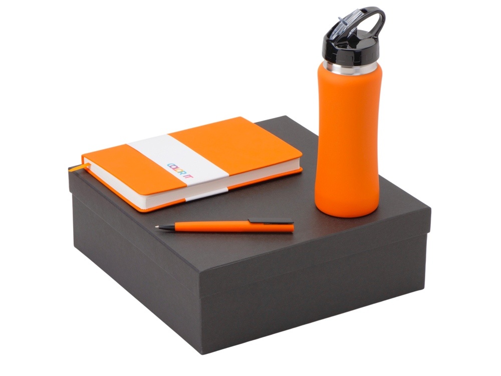 Подарочный набор c блокнотом C2, ручкой и бутылкой