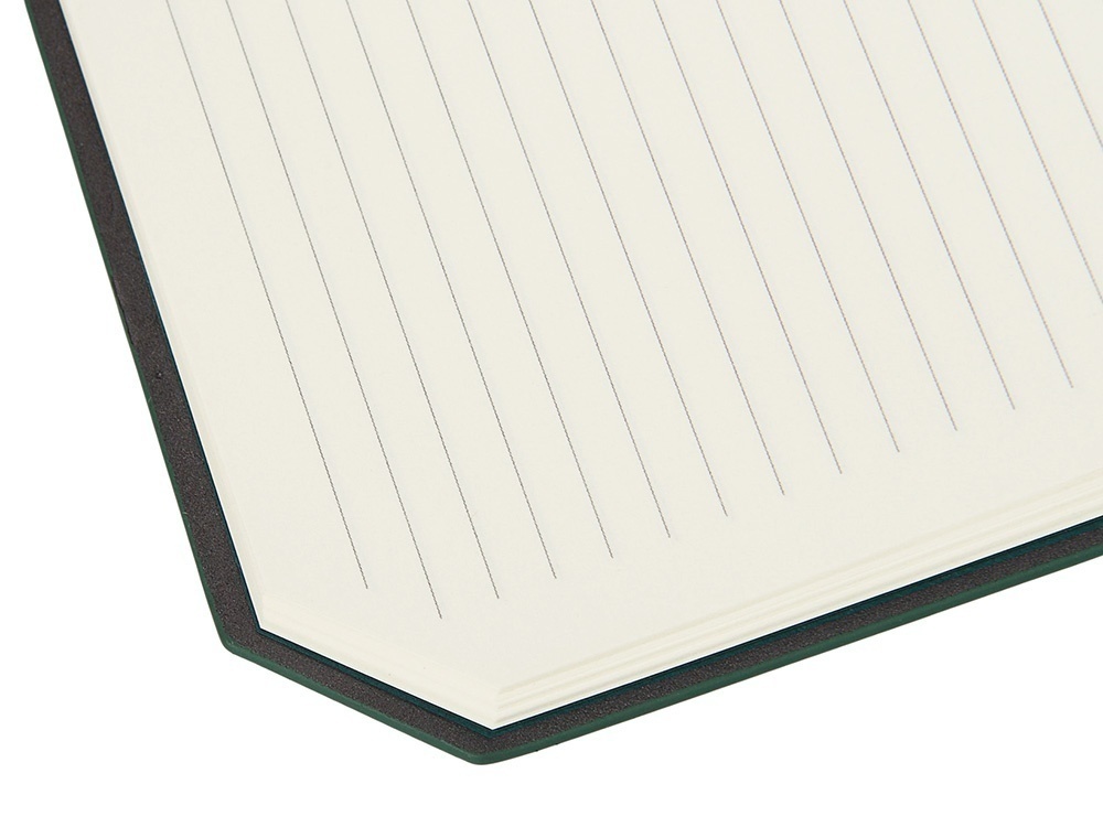 Блокнот А5 с магнитным клапаном в гибкой обложке Chaplin