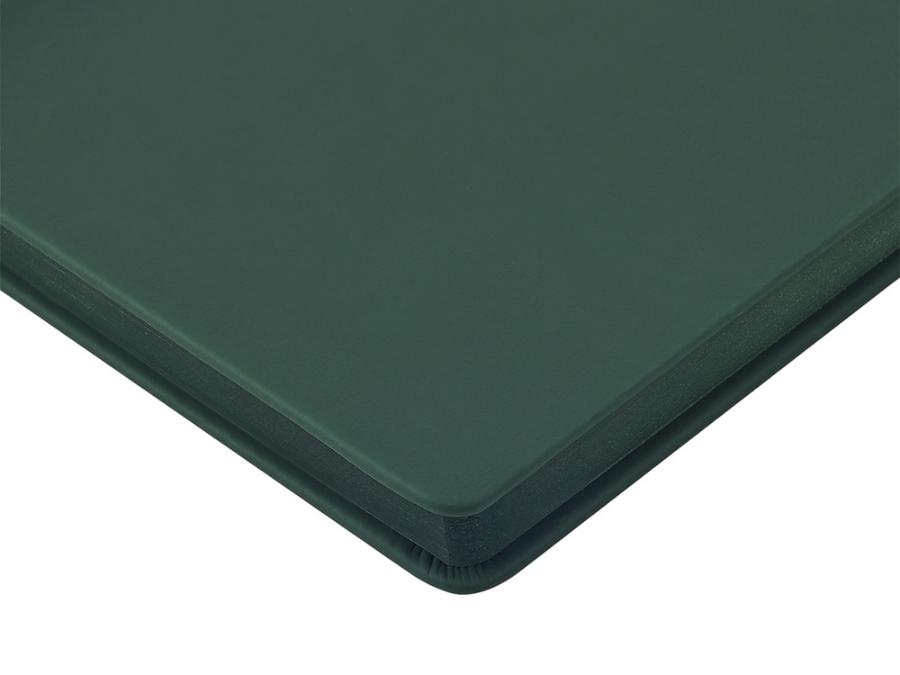 Ежедневник недатированный А6 Megapolis Color