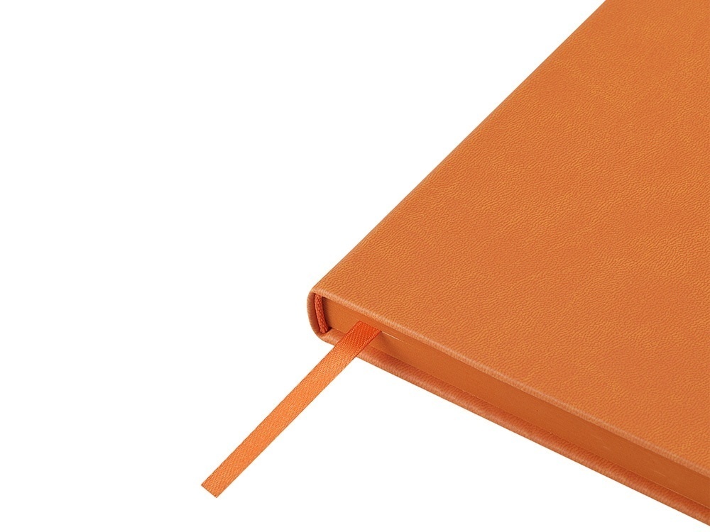 Ежедневник недатированный А6 Megapolis Color