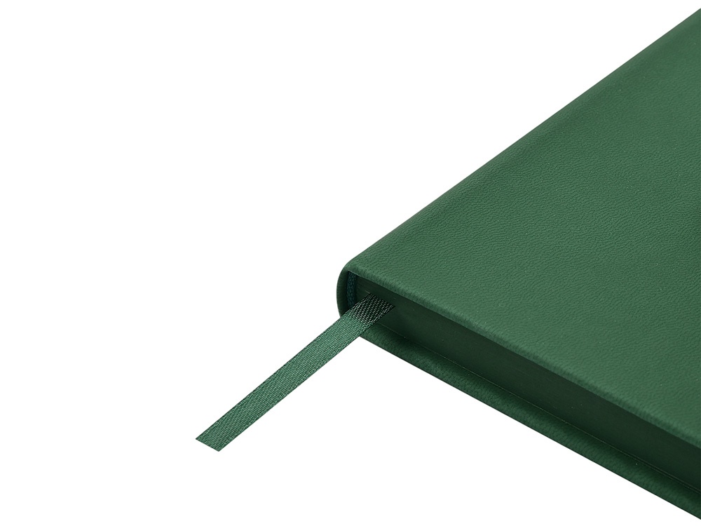 Ежедневник недатированный А6 Megapolis Color