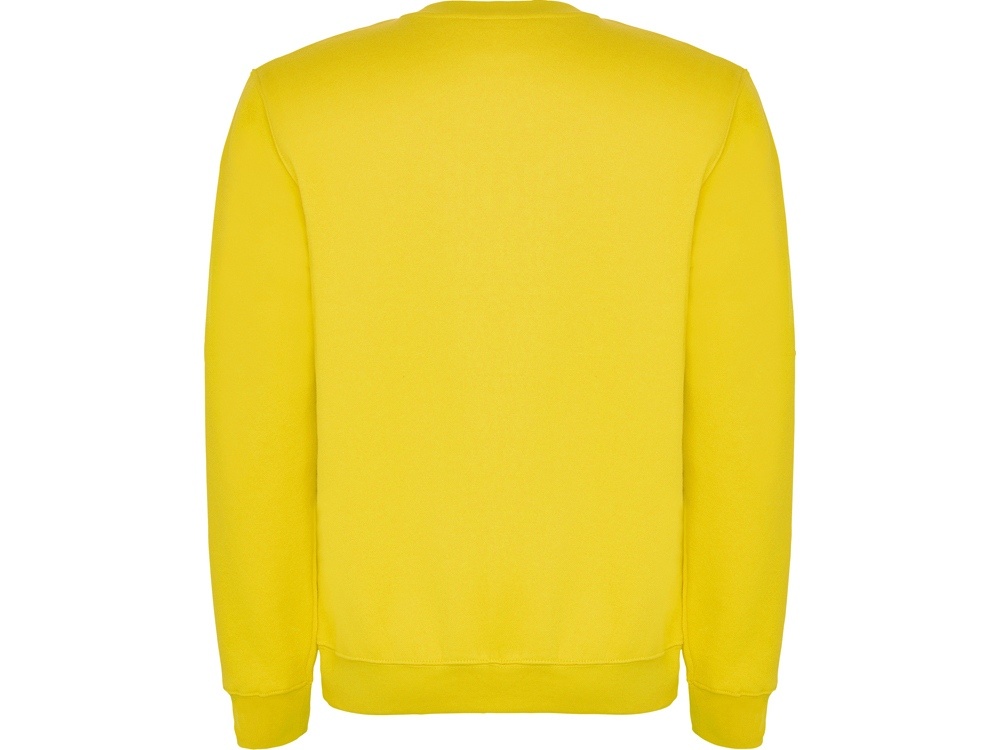 Свитшот с начесом Clasica детский