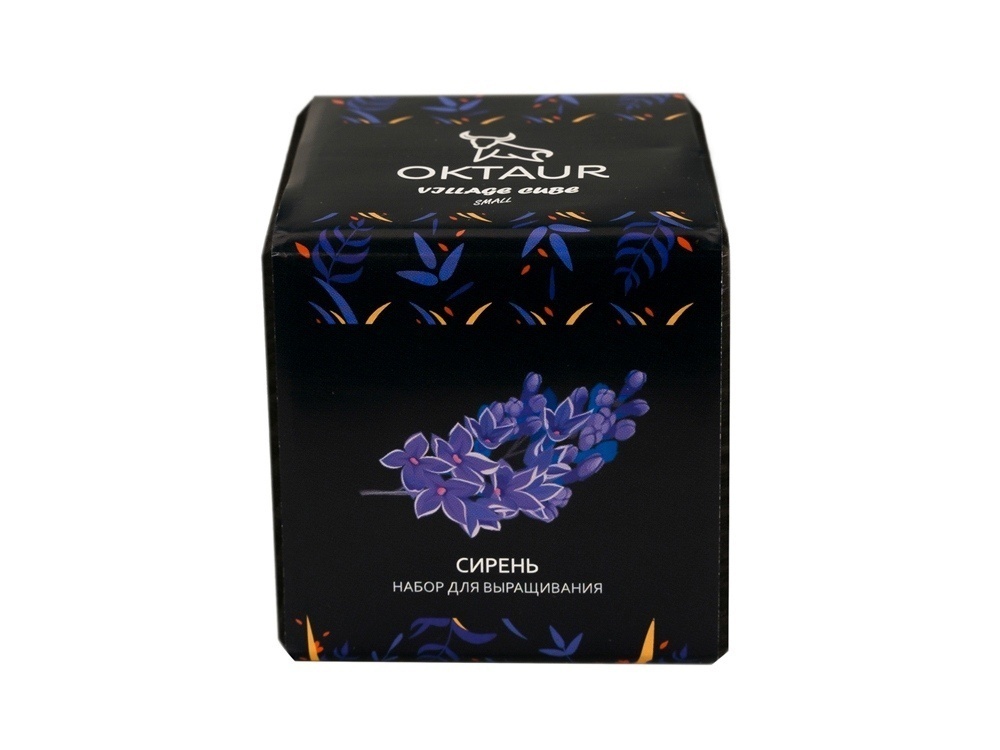 Набор для выращивания Small village cube Эхинокактус Альбинос