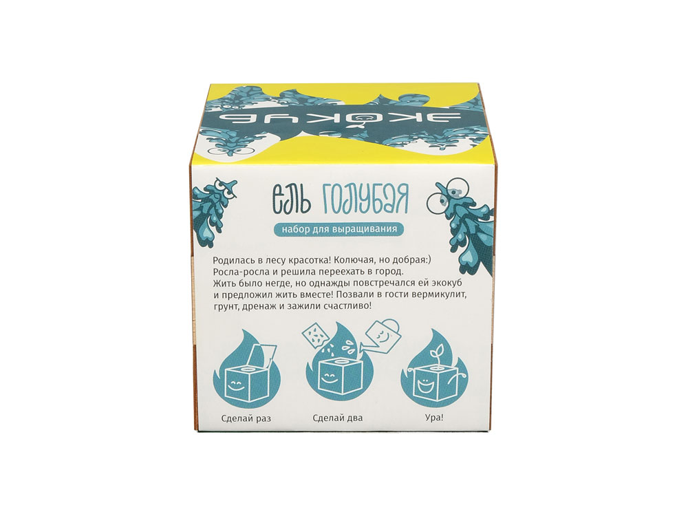 Набор для выращивания Мята