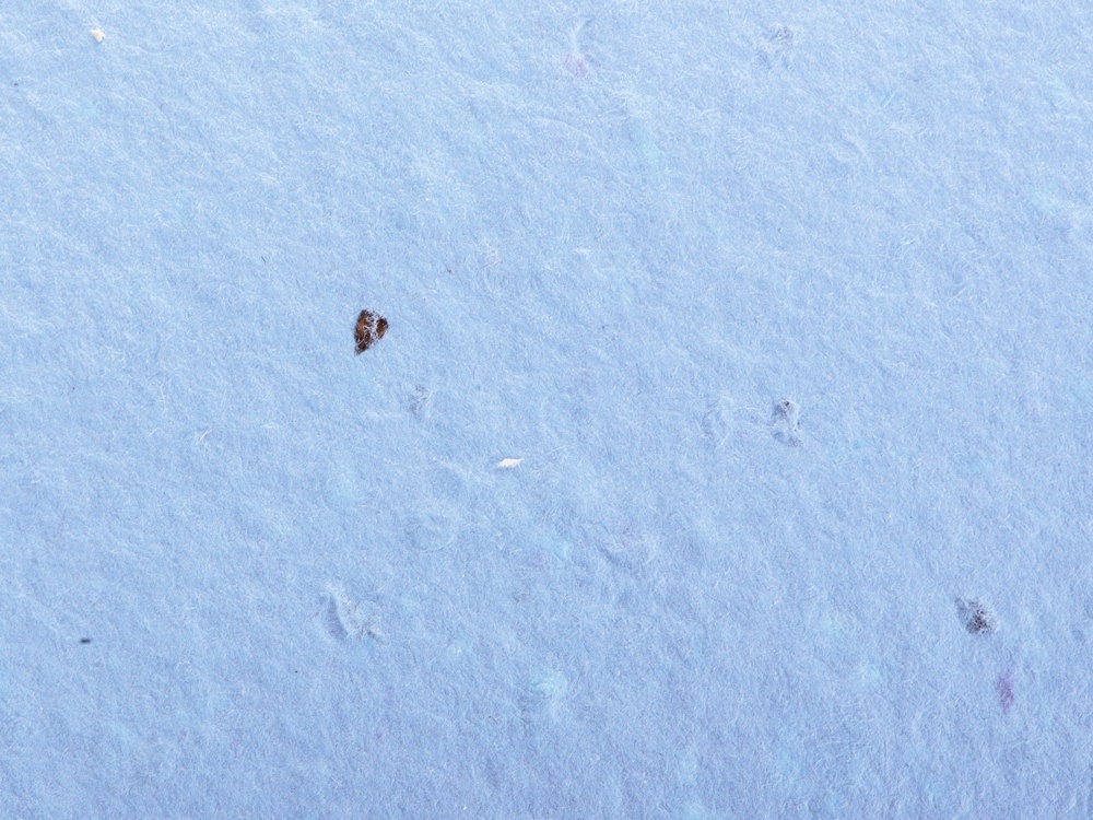 Блокнот А5 с бумажным карандашом и семенами цветов микс