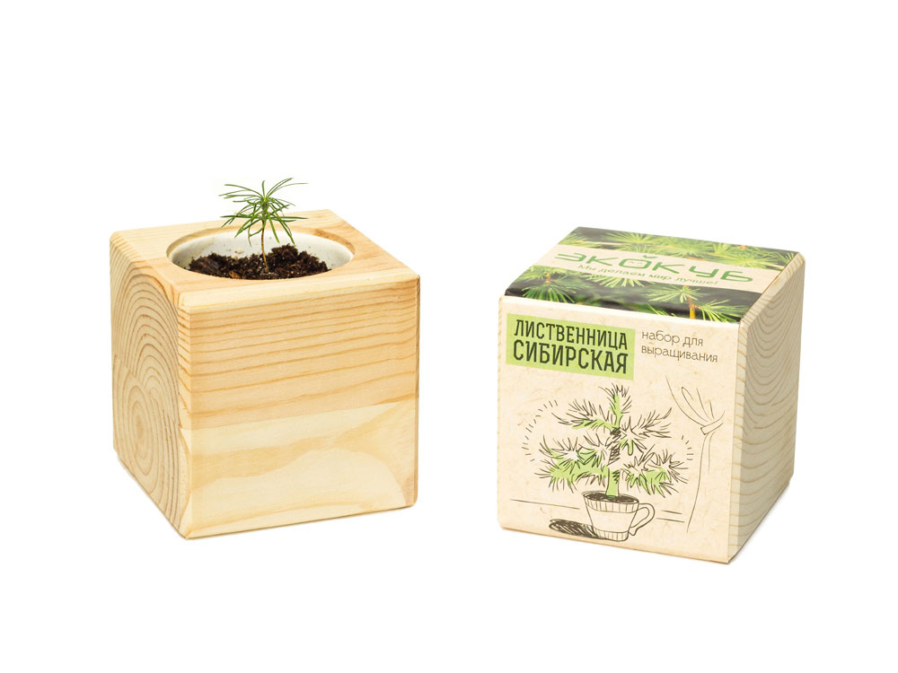 Набор для выращивания Базилик