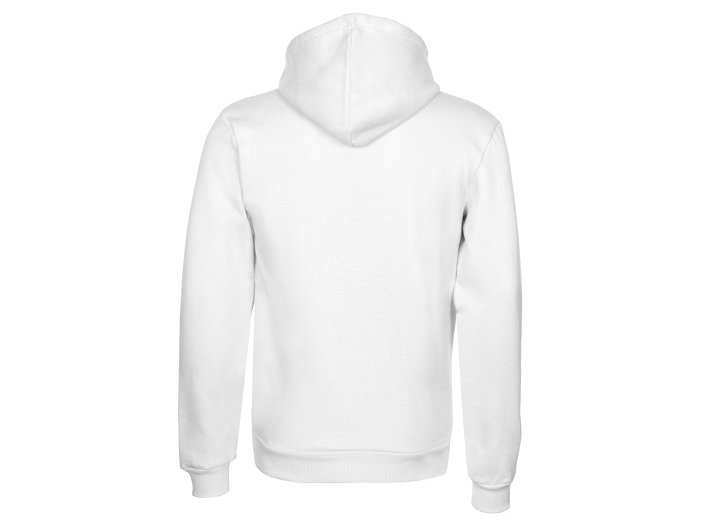 Толстовка с капюшоном Amsterdam мужская