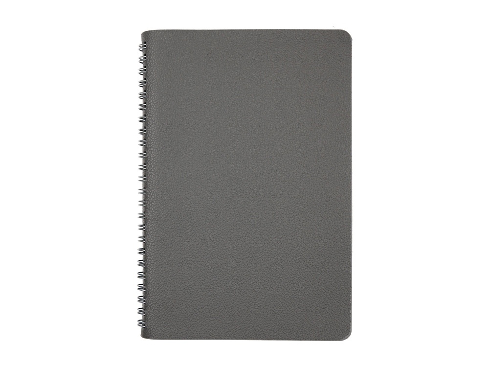 Ежедневник недатированный А5 Alba