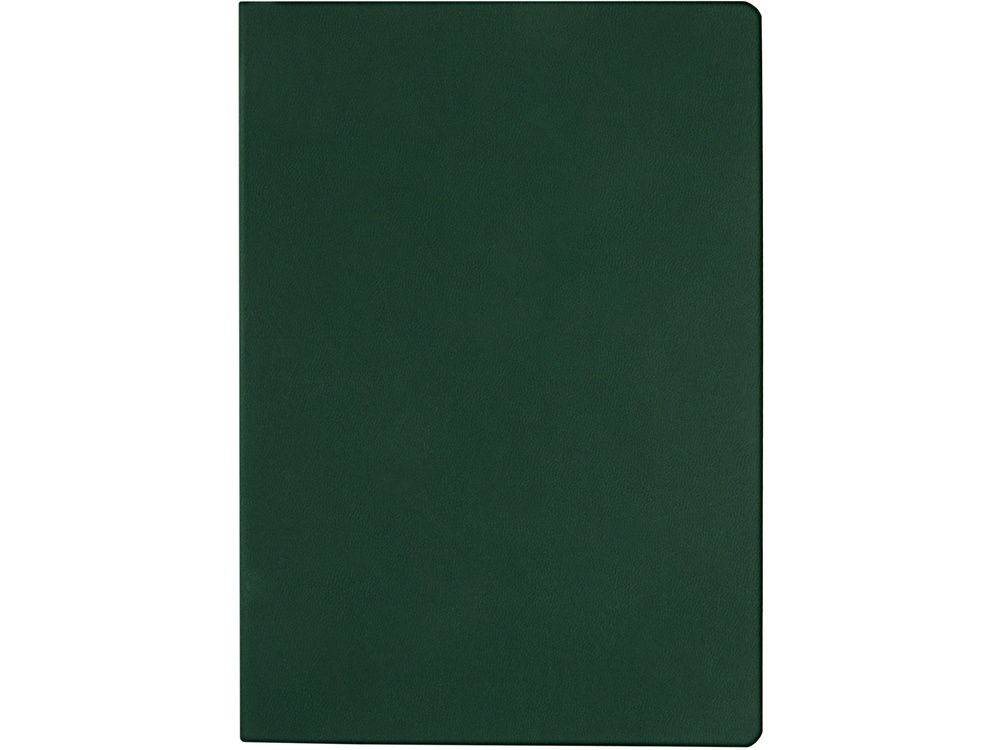 Ежедневник недатированный А5 Megapolis Color Flex