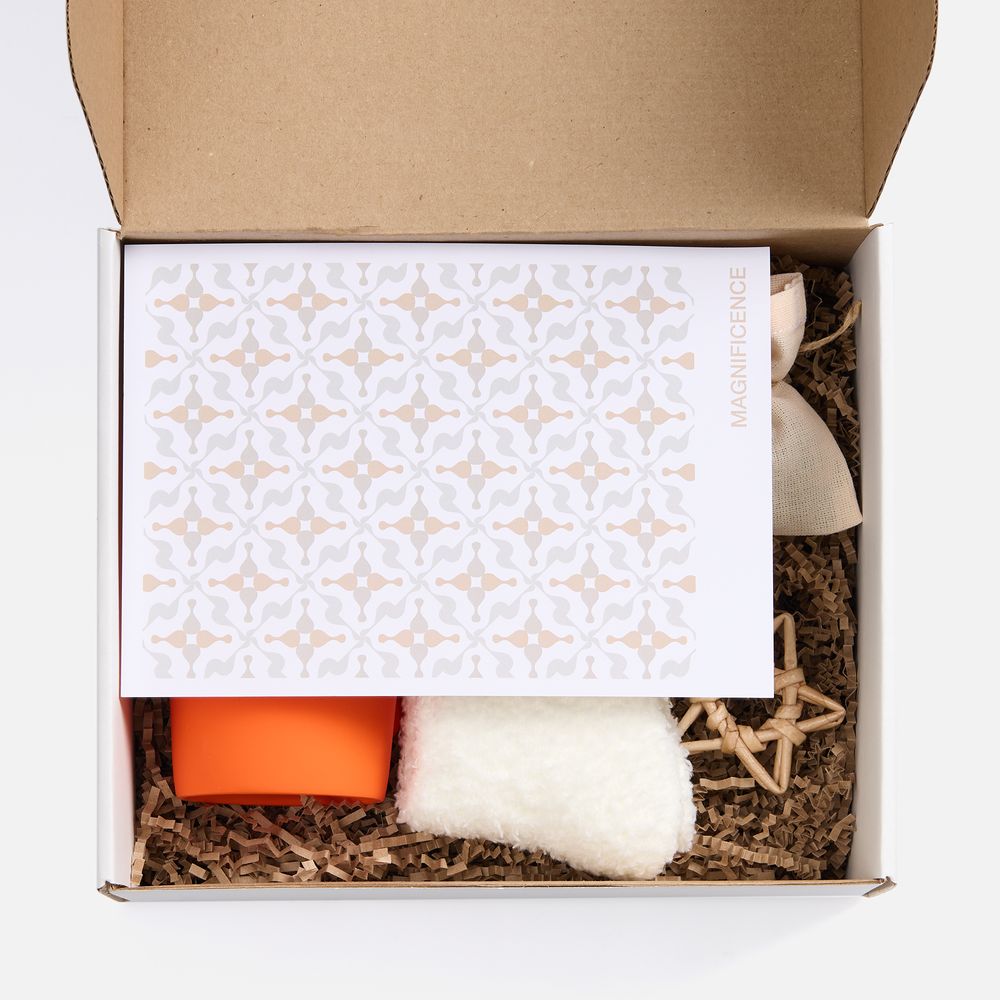 Набор Sockshire