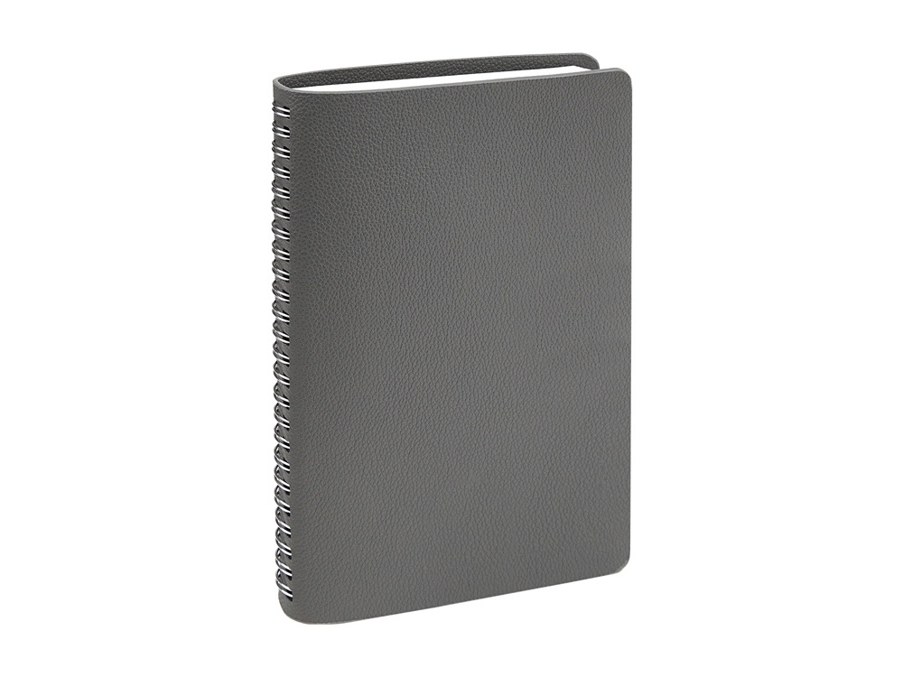 Ежедневник недатированный А5 Alba