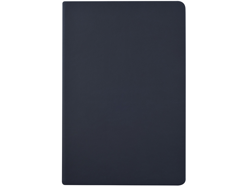 Ежедневник недатированный А6 Megapolis Color