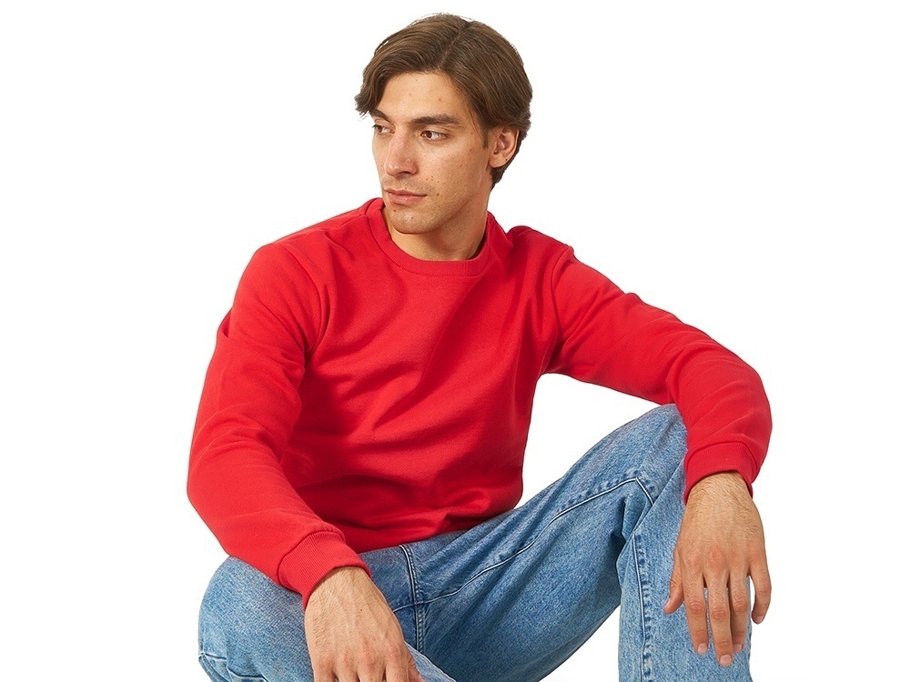 Толстовка Rome мужская