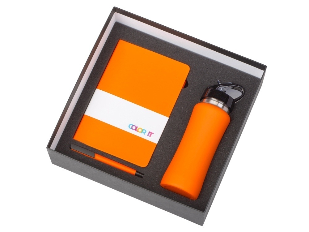 Подарочный набор c блокнотом C2, ручкой и бутылкой