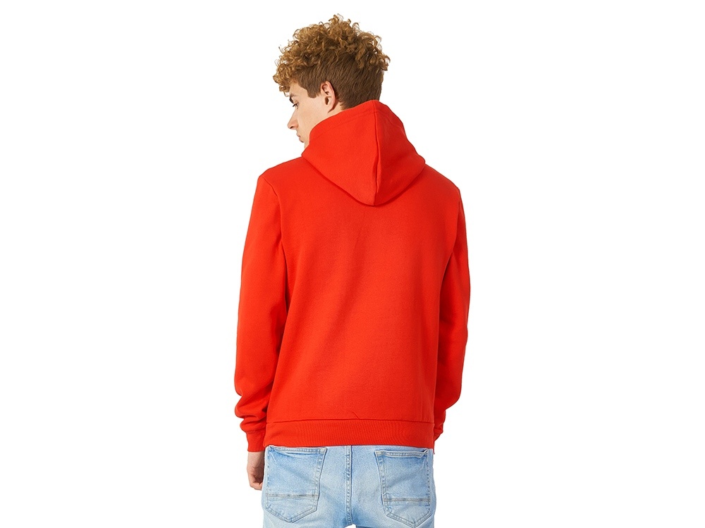 Толстовка с капюшоном Amsterdam мужская