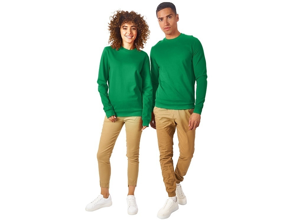 Свитшот Motion с начесом, унисекс