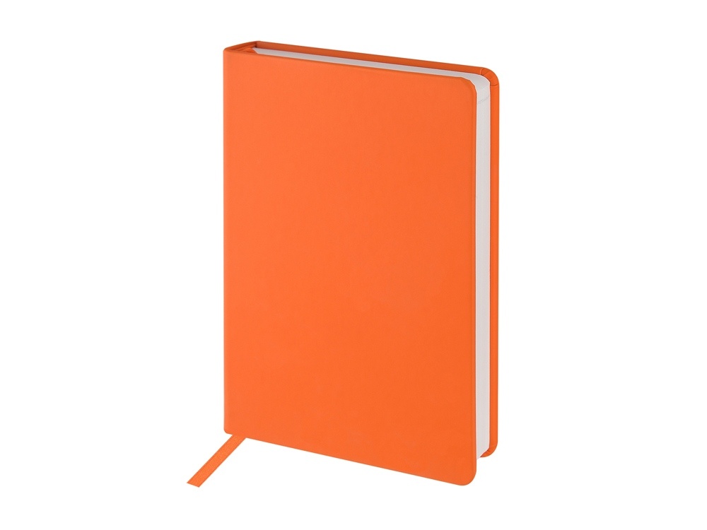 Ежедневник с каменной бумагой недатированный А5 Carrara