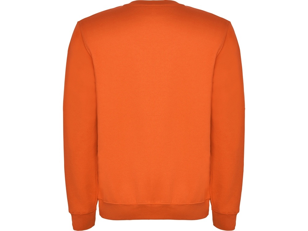 Свитшот с начесом Clasica детский