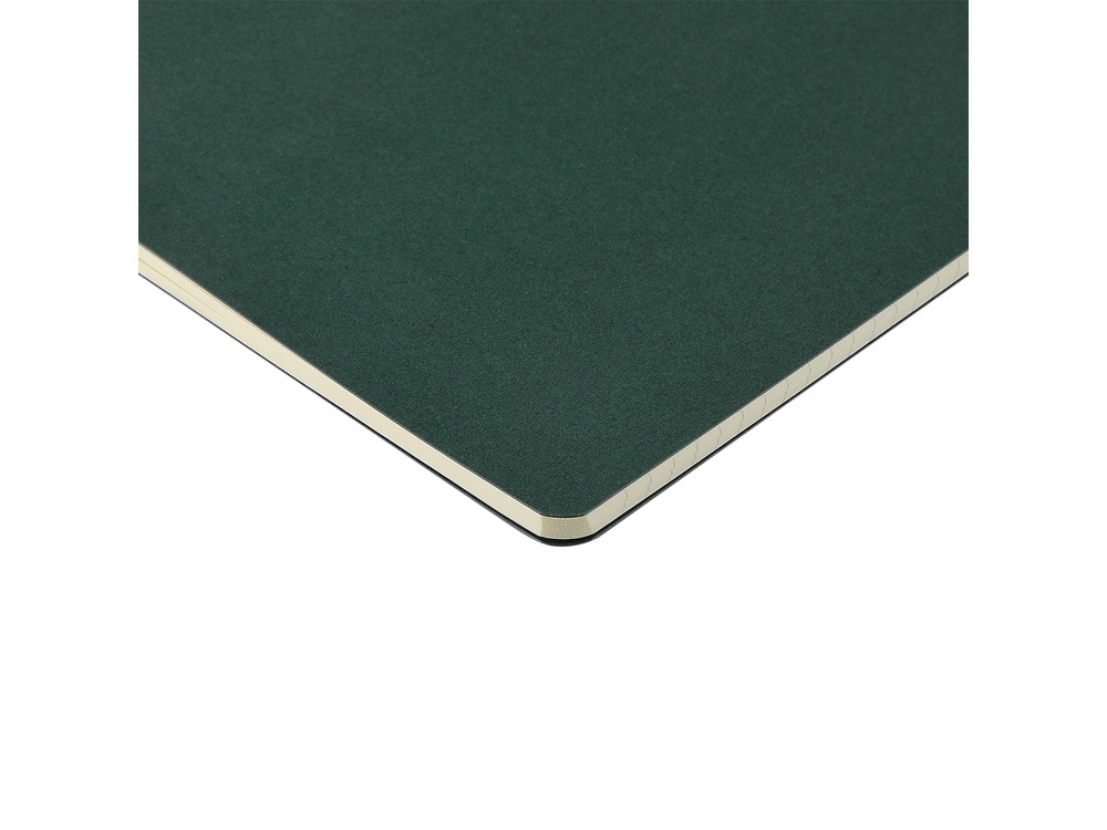 Бизнес тетрадь А5 Pragmatic