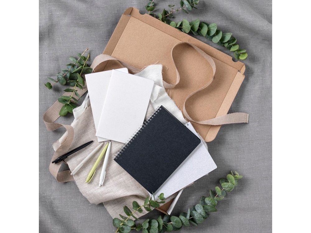 Ручка пластиковая шариковая Alessio из переработанного ПЭТ