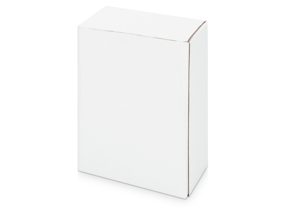 Часы Государственное устройство Российской Федерации