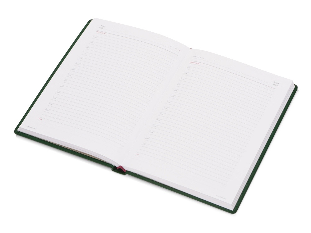 Ежедневник недатированный А4 Velvet